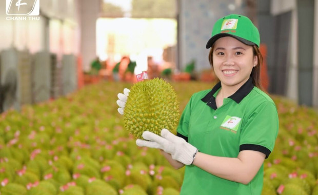 Khám phá trái cây Việt Nam: Trái sầu riêng
