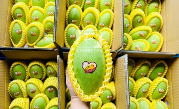 Thương hiệu trái cây gắn mác “Made in Japan” khác với “Made in Vietnam”?