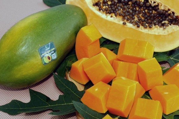 PAPAYA