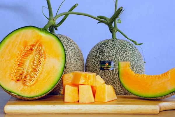 CANTALOUPE
